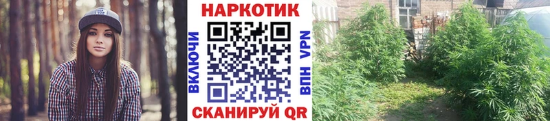Купить АМФЕТАМИН Меф Кокаин Альфа ПВП Алапаевск