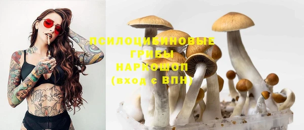 шишки Киреевск